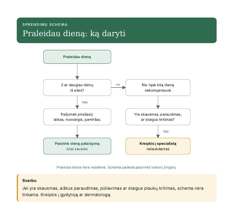 Sprendimų schema: ką daryti praleidus dieną